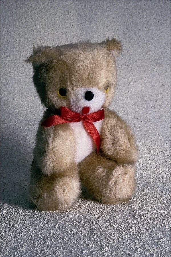 761006 Teddy Bear A4 Photo Print
