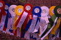 761018 The Ribbons A4 Photo Print