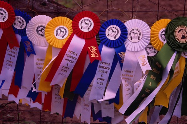 761018 The Ribbons A4 Photo Print