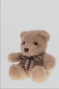 761037 Teddy Bear A4 Photo Print