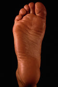 761046 Foot A4 Photo Print