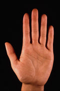 761048 Hand A4 Photo Print