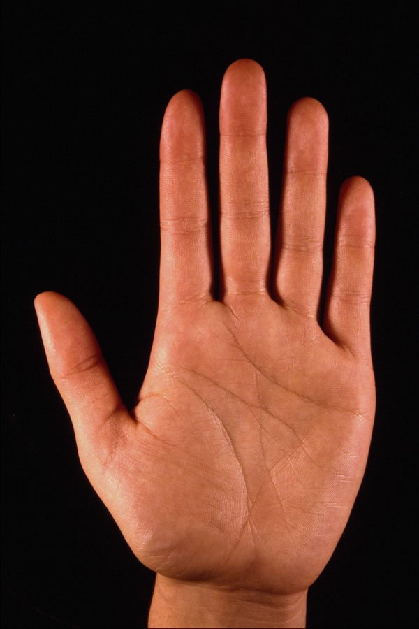 761048 Hand A4 Photo Print