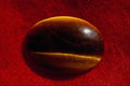 761053 Tiger Eye Cabochon A4 Photo Print