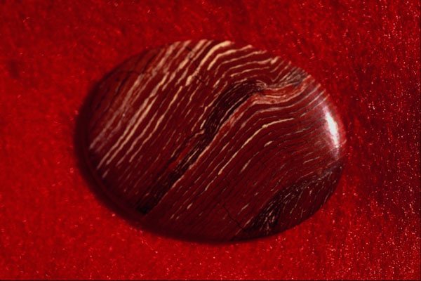 761054 Jasper Cabochon A4 Photo Print