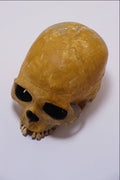 761059 Skull A4 Photo Print