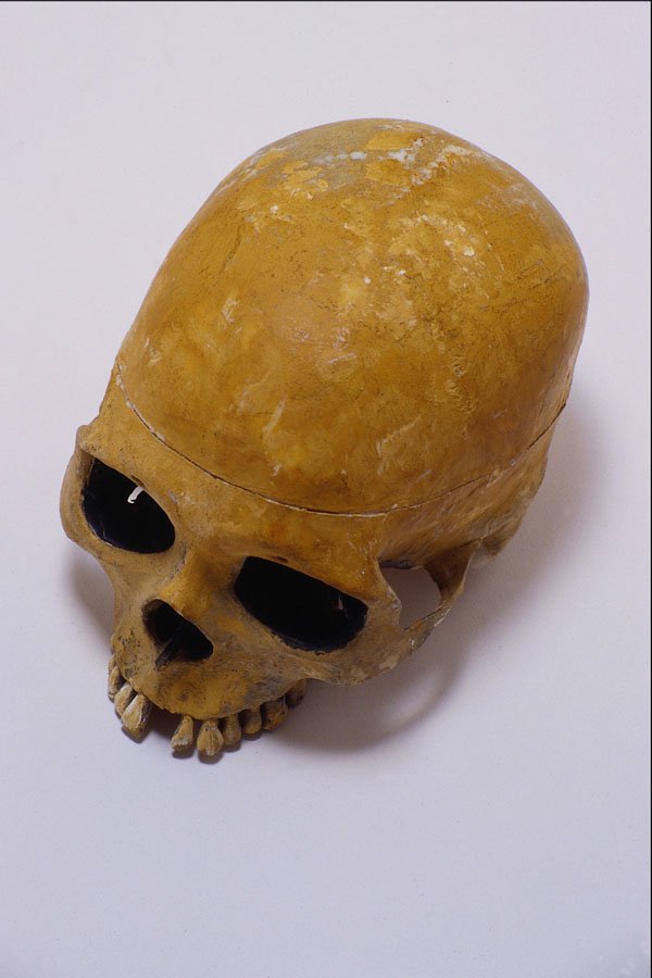 761059 Skull A4 Photo Print