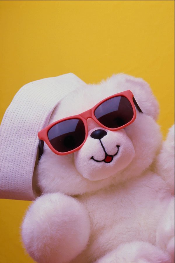 761060 Cool Teddy Bear A4 Photo Print