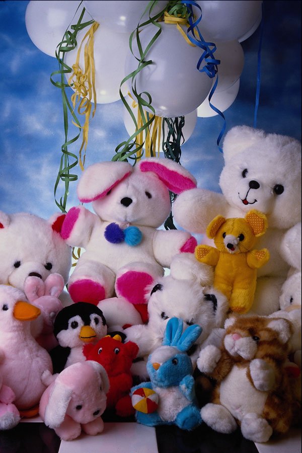 761061 Teddy Bear Party A4 Photo Print
