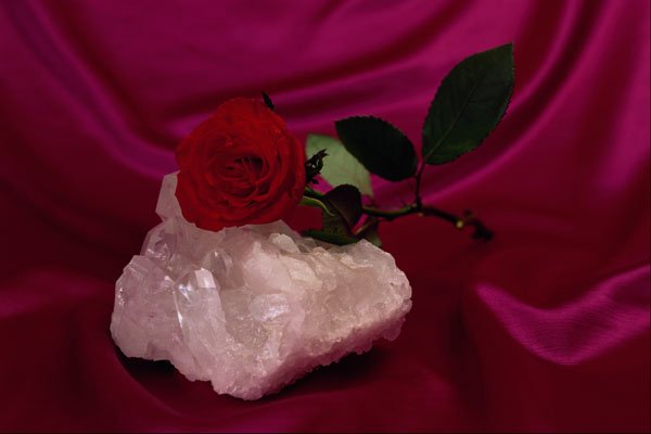 761079 Crystal And Rose A4 Photo Print