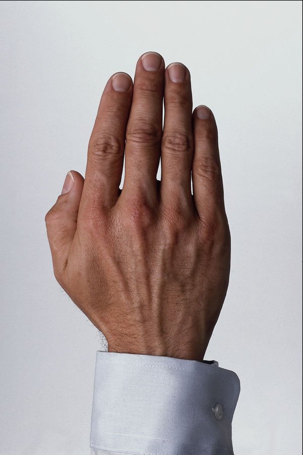 761082 Male Hand A4 Photo Print