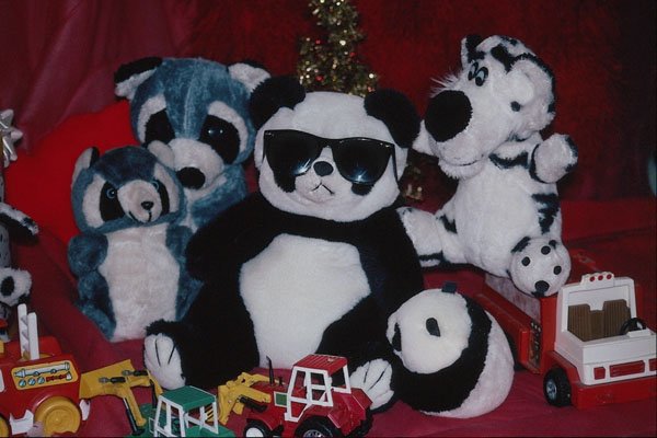 761087 The Cool Gang A4 Photo Print