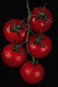 761091 Tomatoes A4 Photo Print
