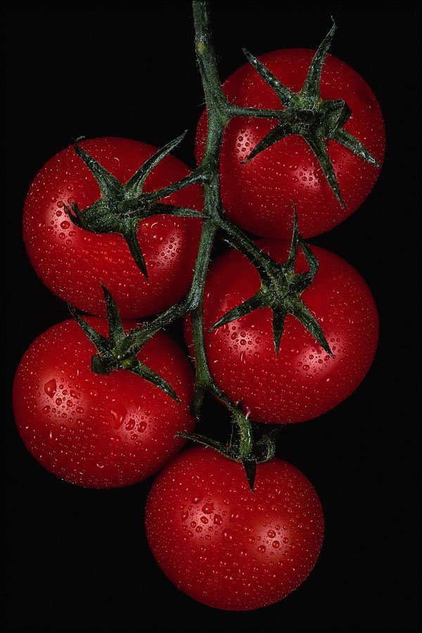 761091 Tomatoes A4 Photo Print