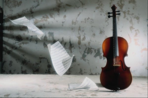 761095 Violin With Music Sheets Floating A4 Photo Print