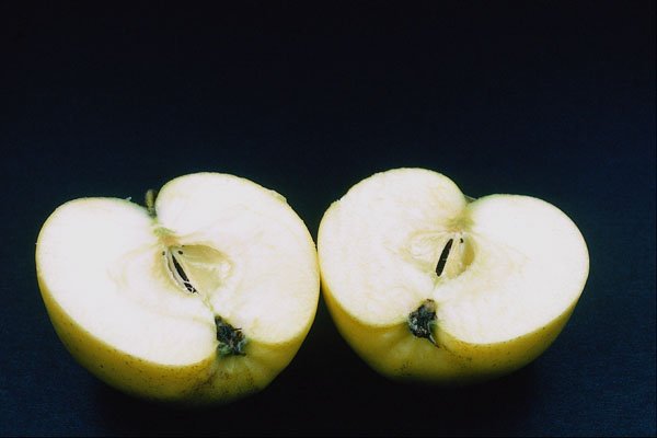 762004 Apple Halves A4 Photo Print