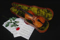 762009 Violin, Music, Red Rose On Black A4 Photo Print