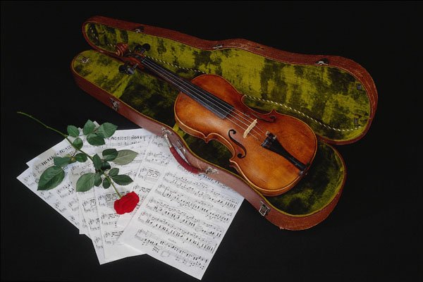 762009 Violin, Music, Red Rose On Black A4 Photo Print