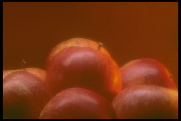 762016 Apples A4 Photo Print