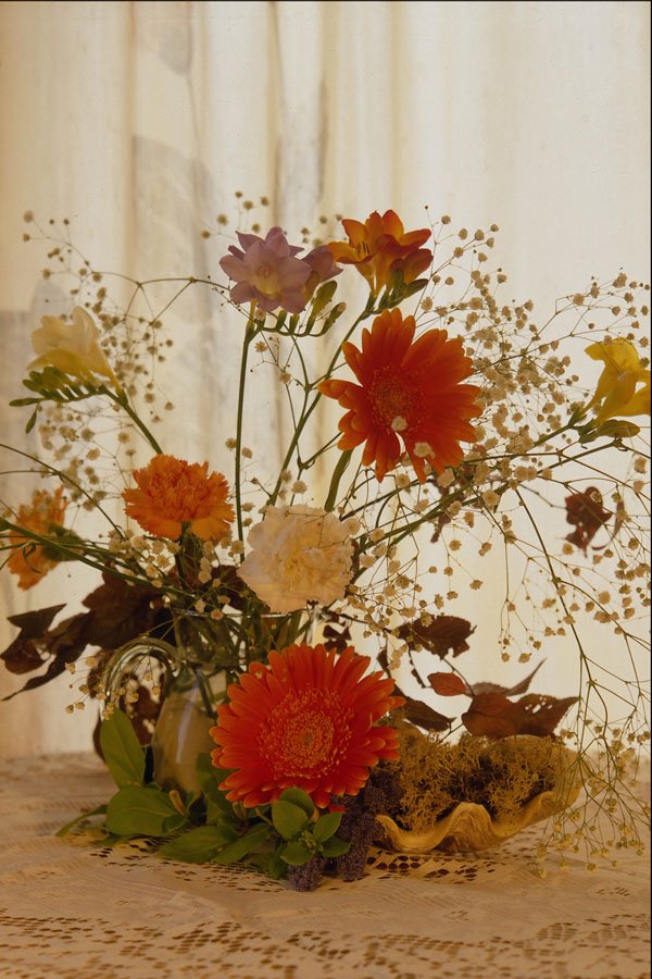 762017 Floral Display A4 Photo Print