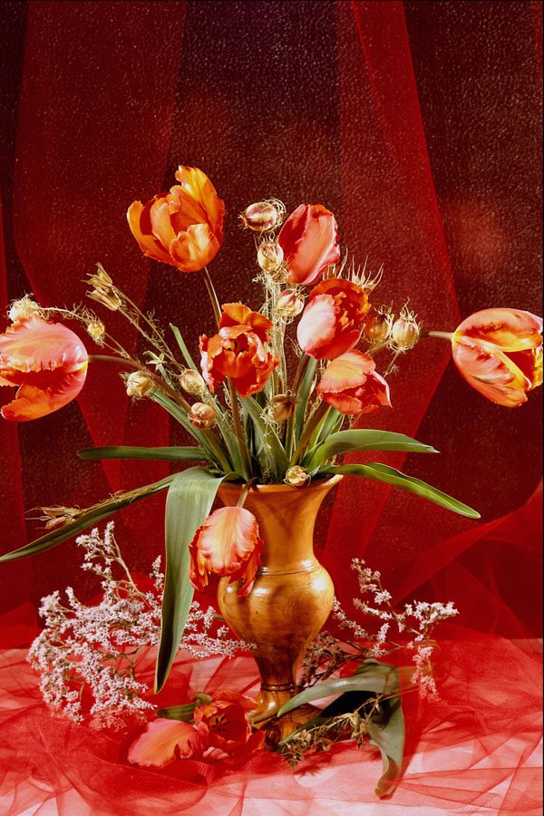 762018 Floral Display A4 Photo Print
