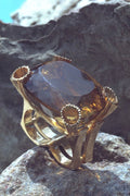 762035 Citrine Double Ring A4 Photo Print
