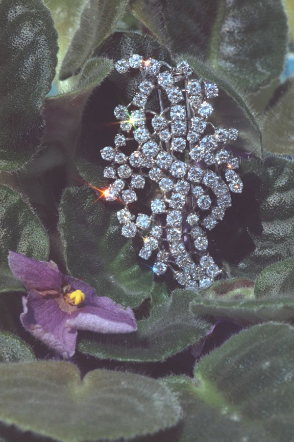 762040 Diamond Brooch A4 Photo Print