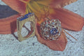 762042 Two Ladies' Rings A4 Photo Print