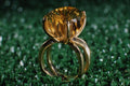 762044 Citrine Ring A4 Photo Print