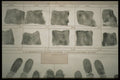 762052 Fingerprints A4 Photo Print