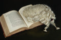762055 Open Law Book With Wig, England A4 Photo Print