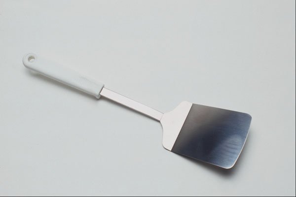 762072 Flipper A4 Photo Print