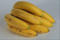 762087 Bananas A4 Photo Print