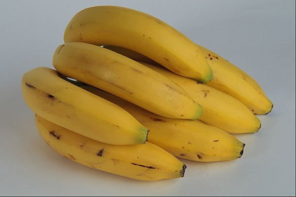 762087 Bananas A4 Photo Print