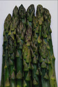 763013 Asparagus Heads A4 Photo Print