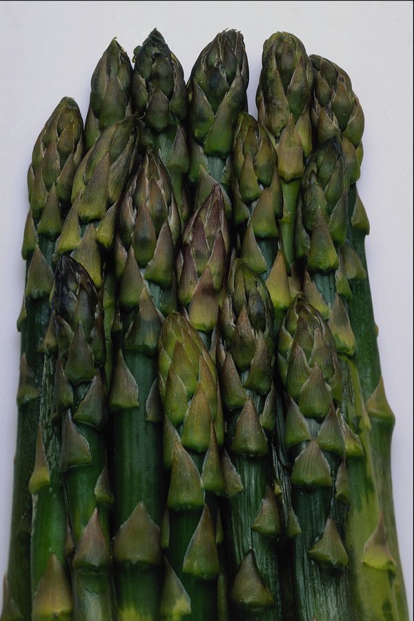 763013 Asparagus Heads A4 Photo Print
