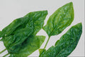763014 Spinach Leaves A4 Photo Print
