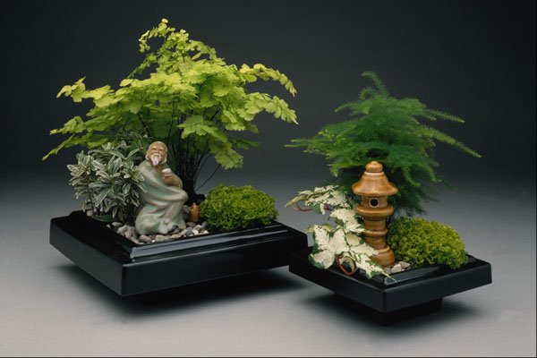 763025 Pair Of Bonsai Trees With Ornamental Figures A4 Photo Print