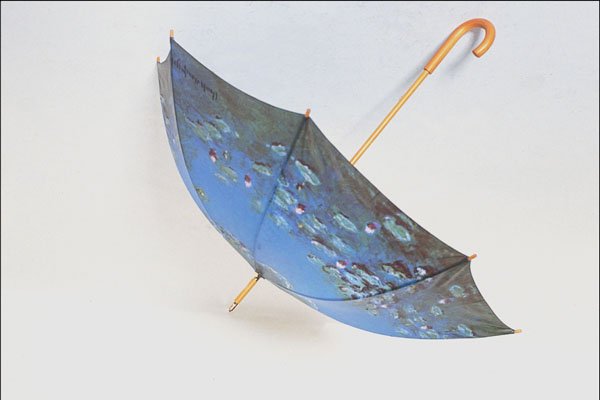 763096 Umbrella A4 Photo Print