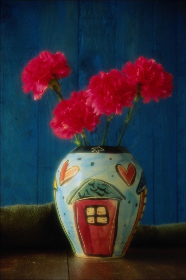 764011 Red Carnations In Vase A4 Photo Print