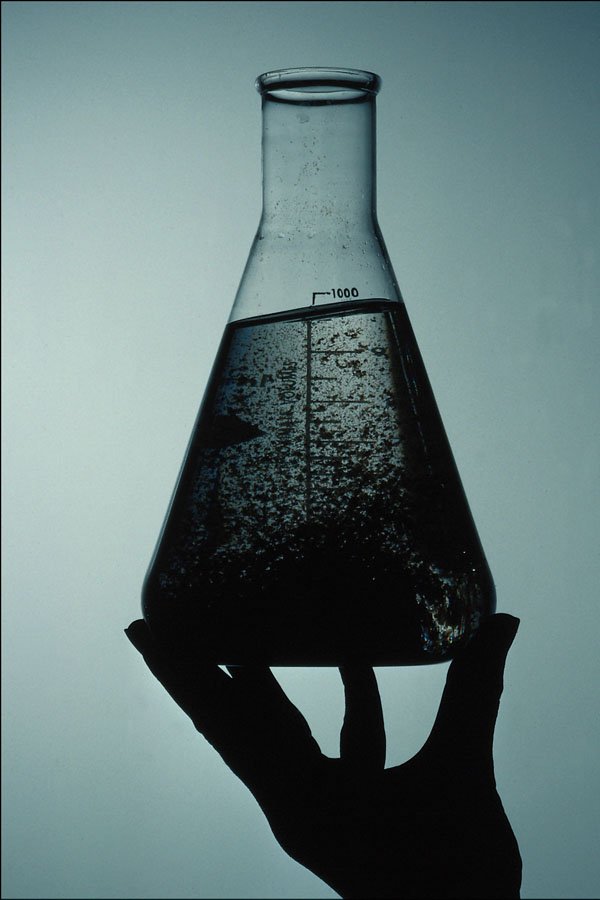 764026 Hand Holding Laboratory Beaker, Precipitate In Solution A4 Photo Print