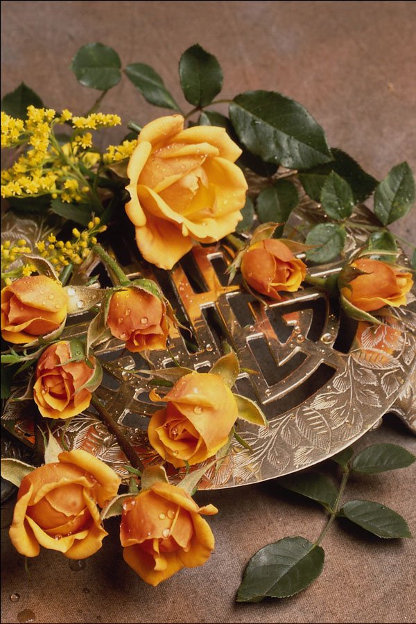 764054 Floral Arrangement A4 Photo Print