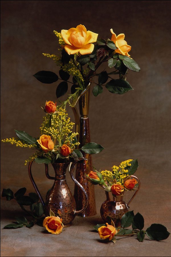 764055 Floral Arrangement A4 Photo Print