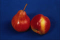 764056 Fruit, Still Life A4 Photo Print