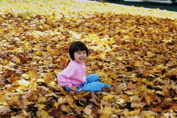 766015 Young Beauty A4 Photo Print