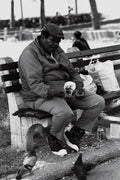 766050 Man Feeding Pigeons, New York City, New York, U.S.A. A4 Photo Print