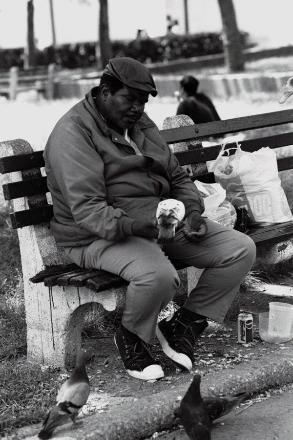 766050 Man Feeding Pigeons, New York City, New York, U.S.A. A4 Photo Print