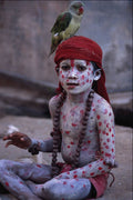767043 Boy With Parrot A4 Photo Print