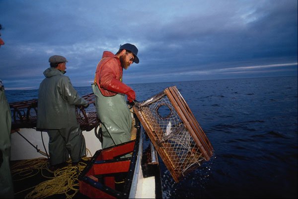768074 Lobster Fishing, Sunrise, Eastern Canada A4 Photo Print