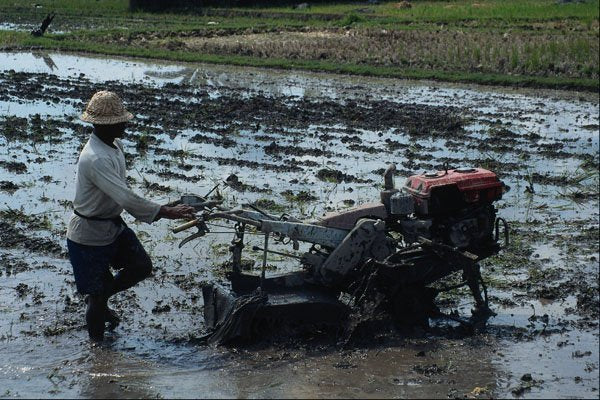 768091 Modern Farming With Rotivator, Bali, Indonesia A4 Photo Print